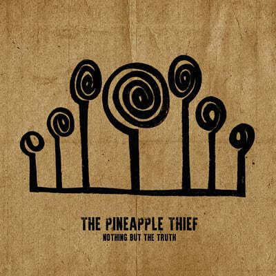 The Pineapple Thief (ξ ) - Nothing But The Truth [2LP] 