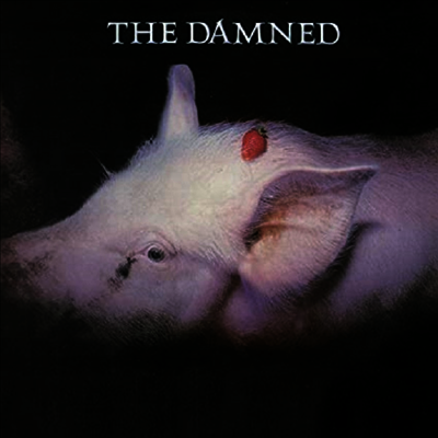 Damned — Strawberries (Remastered) 앨범 커버