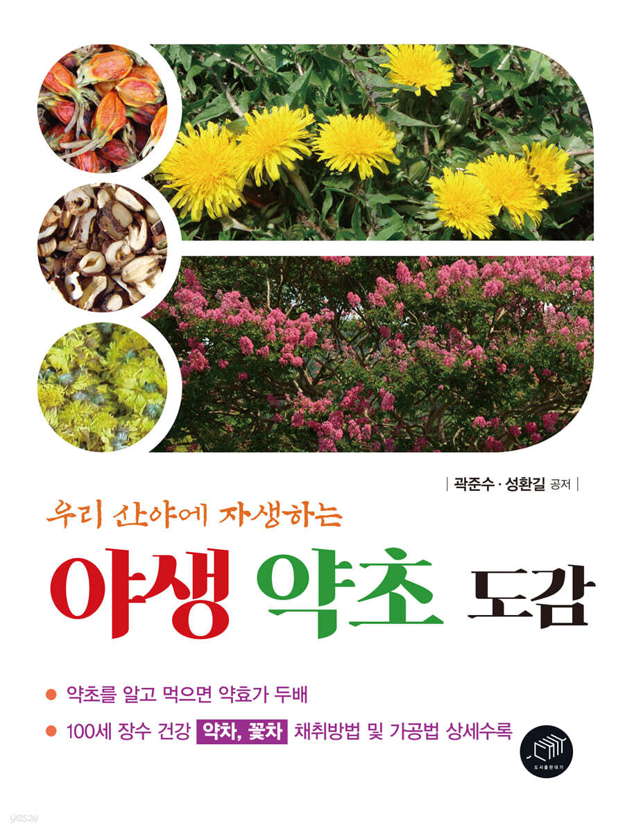 야생 약초 도감