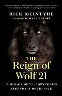 The Reign of Wolf 21: The Saga of Yellowstone's Legendary Druid Pack