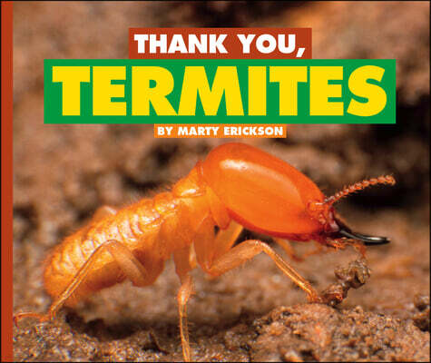 Child's World Thank You, Termites