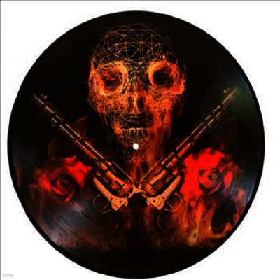 Guns N` Roses — Live In New York 1988 (Picture Disc) 앨범 커버