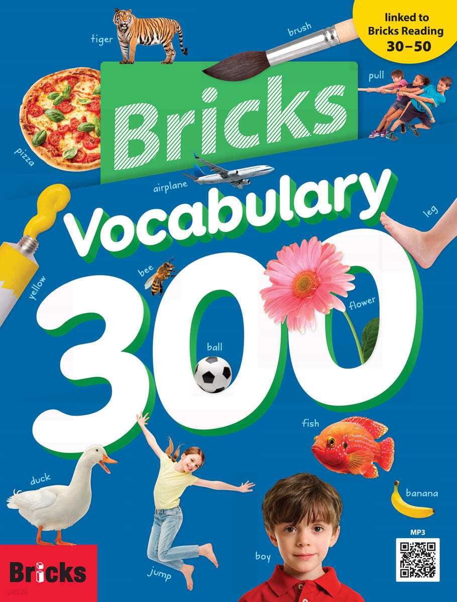 Bricks Vocabulary 300