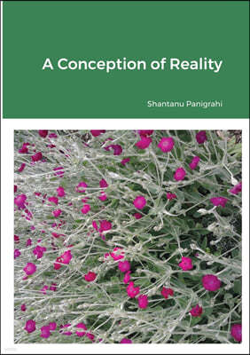 A Conception of Reality