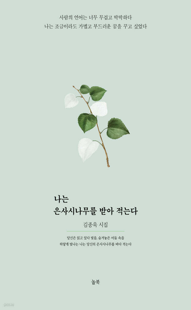 나는 은사시나무를 받아 적는다