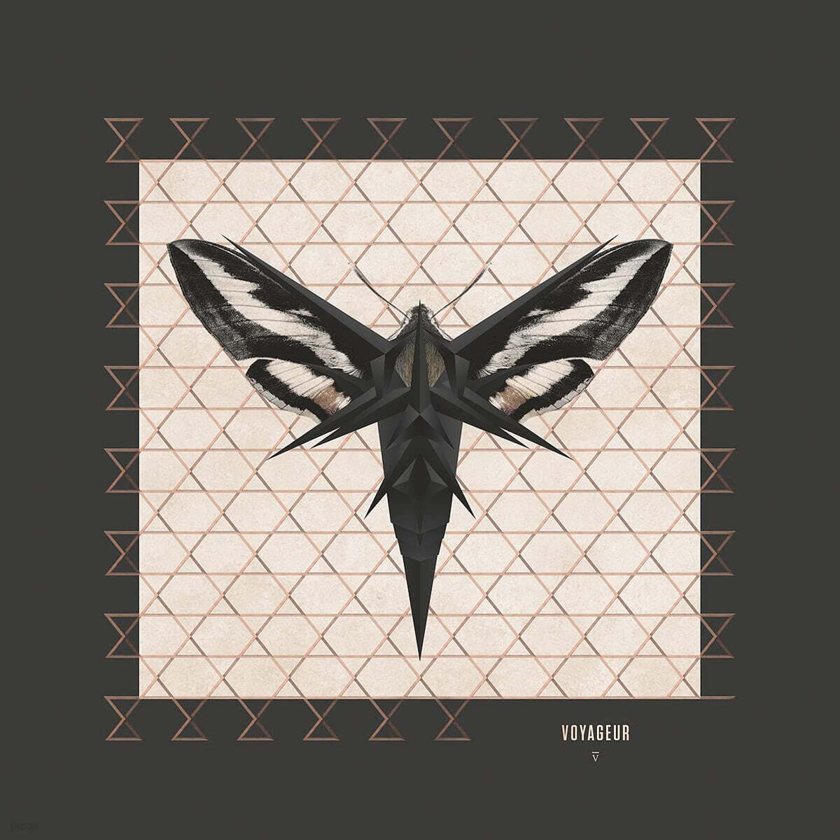 Enigma (이니그마) - Voyageur [LP]