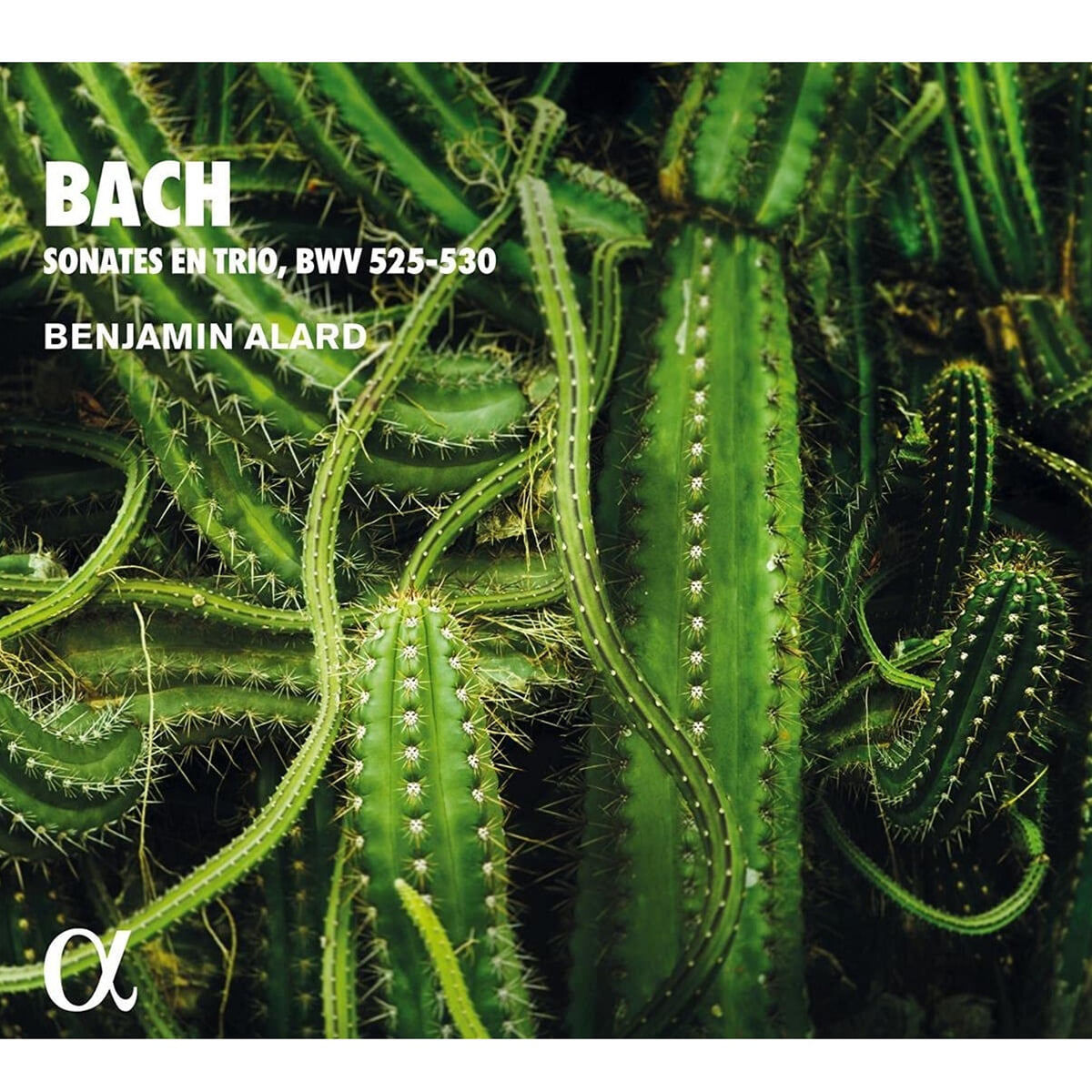 Benjamin Alard 바흐: 6개의 오르간 소나타 전곡 (J.S.Bach: Sonates En Trio, BWV525-530)
