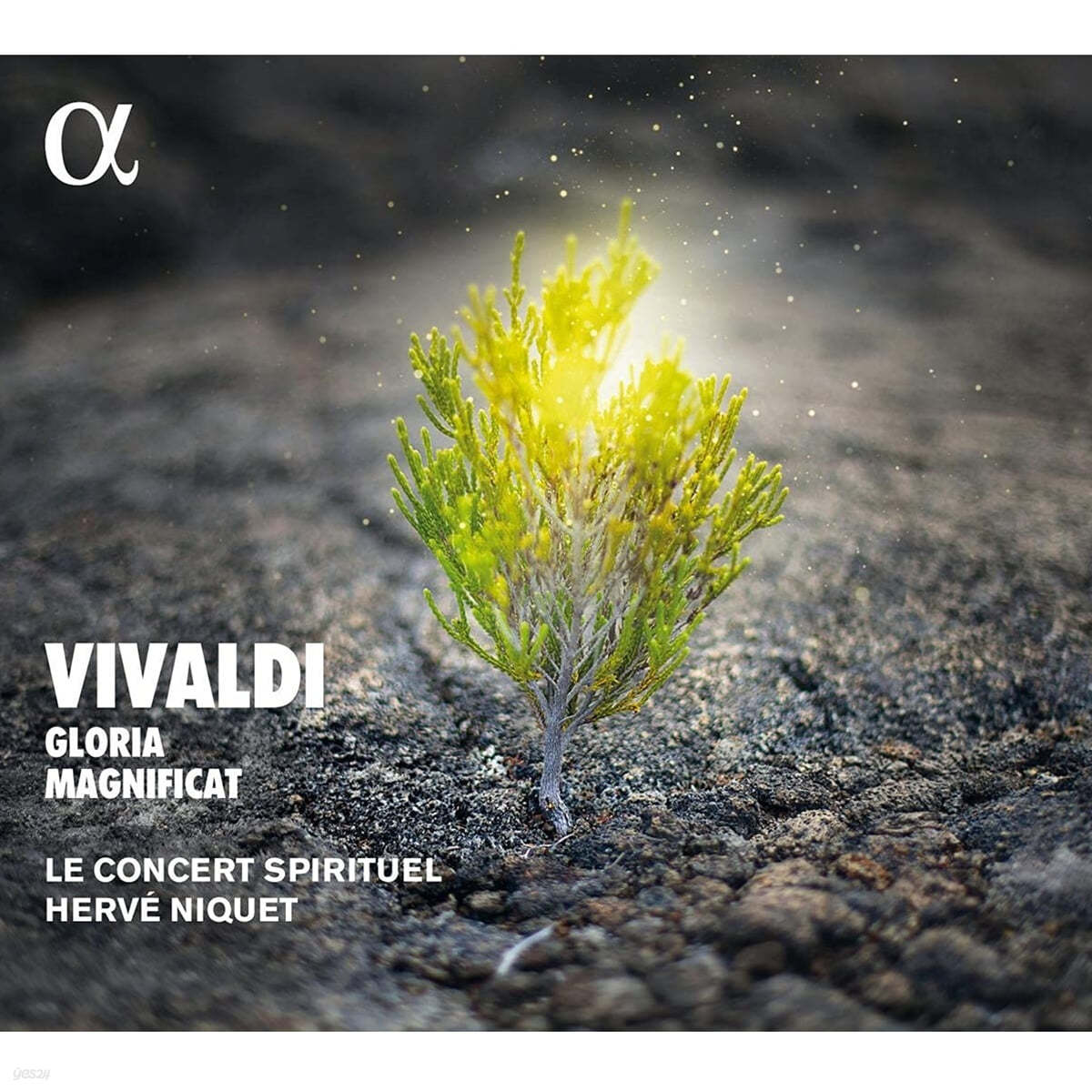 Herve Niquet 비발디: 글로리아 [오리지널 버전] (Antonio Vivaldi: Gloria RV 589) 
