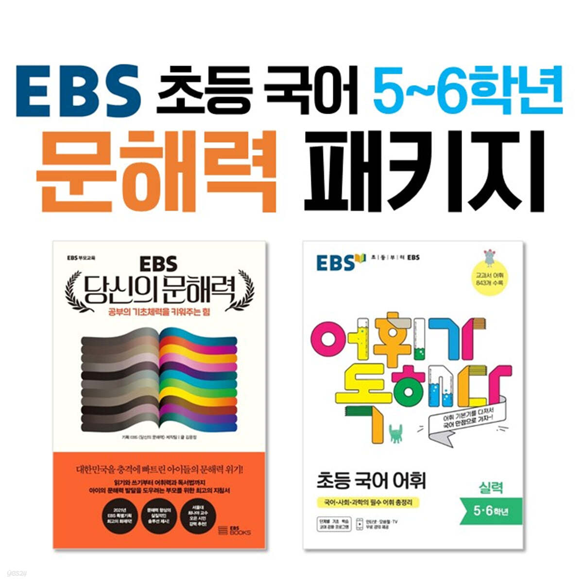 EBS 초등 국어 5~6학년 문해력 패키지