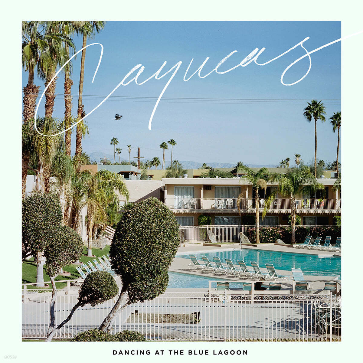 Cayucas (카유커스) - Dancing at the Blue Lagoon [아쿠아 &amp; 옐로우 컬러 LP] 