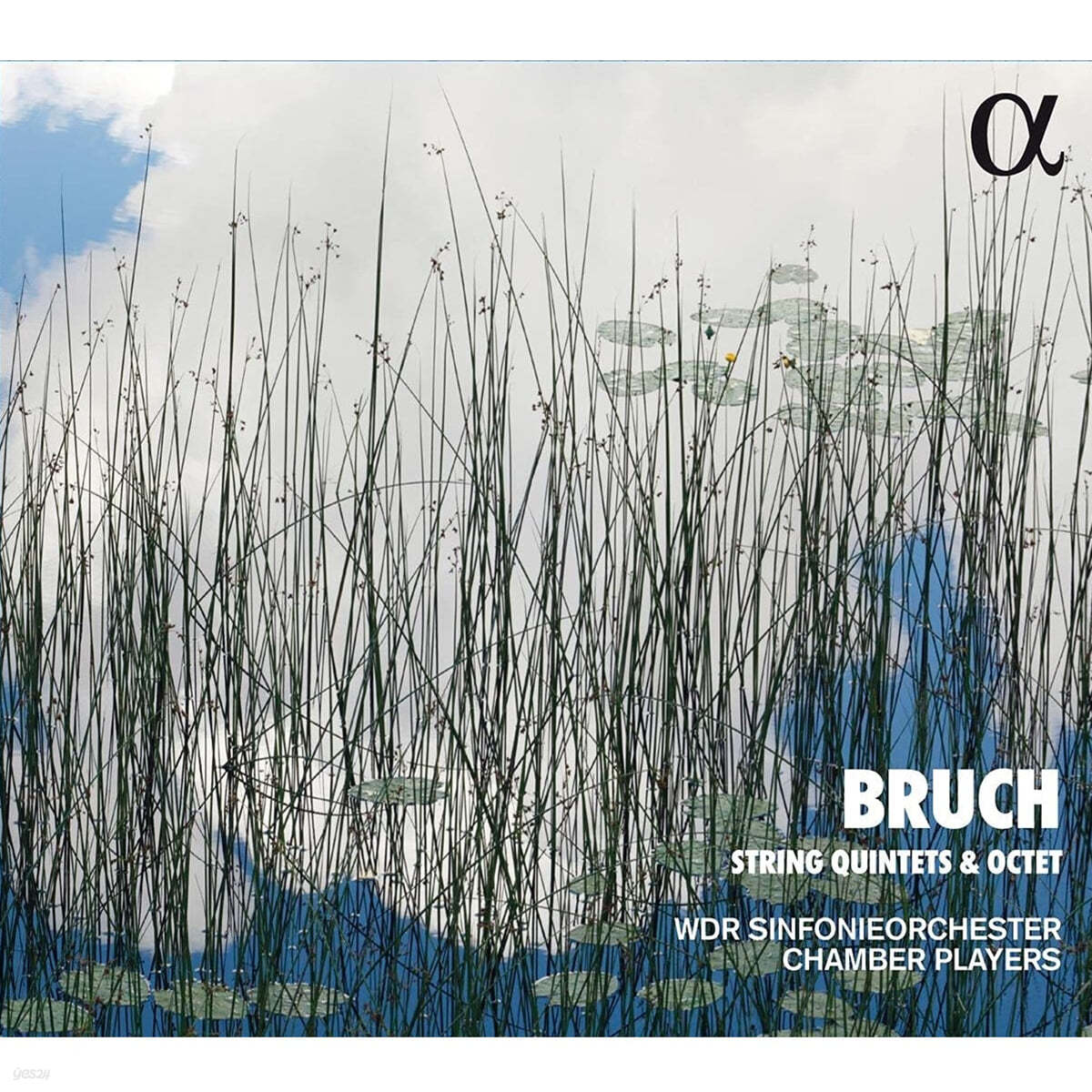 WDR Chamber Players 막스 브루흐: 현악 오중주, 현악 팔중주 (Max Bruch: String Quintets Op.Posth., String Octet Op.Posth.)