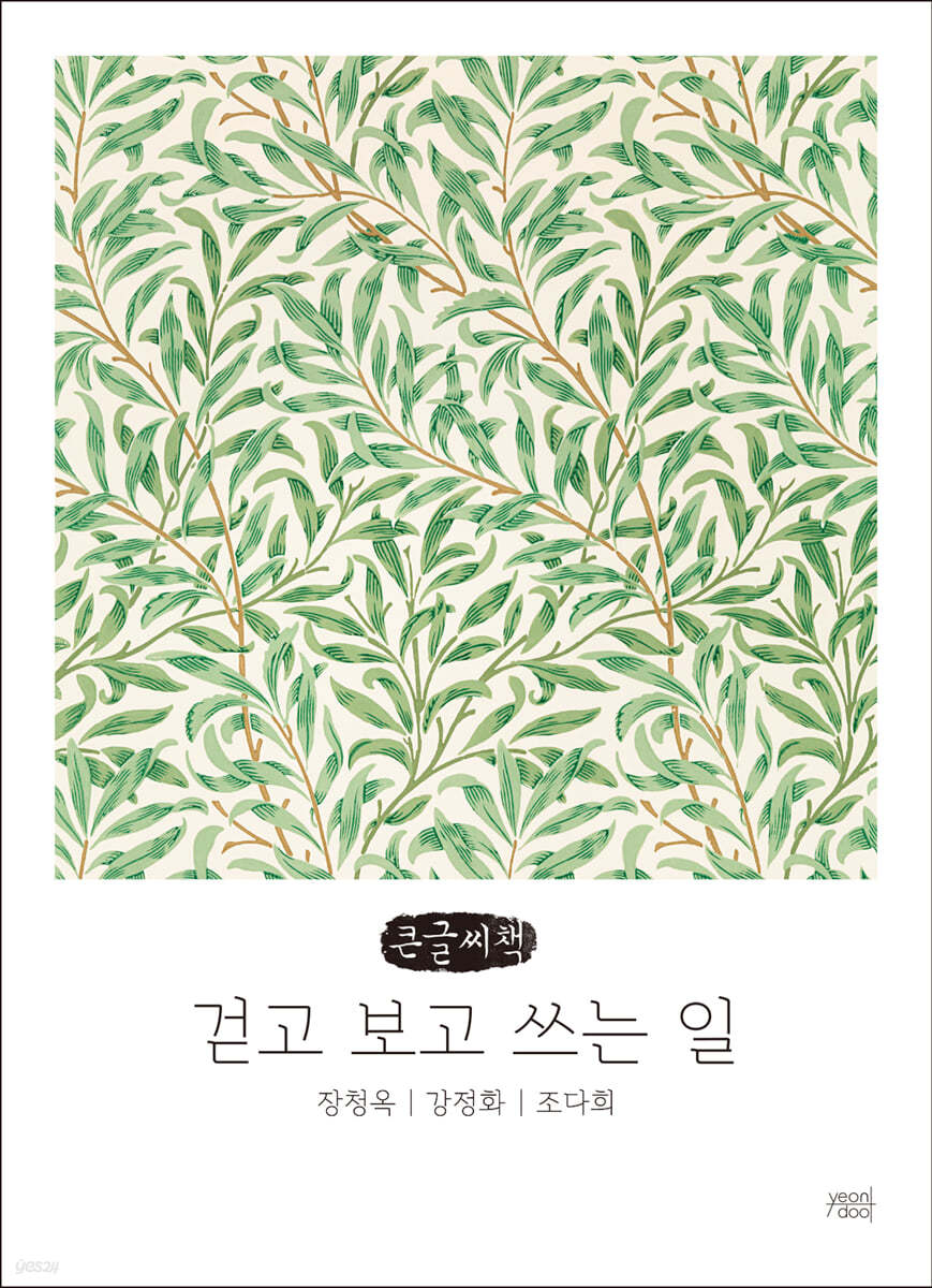 걷고 보고 쓰는 일 (큰글씨책)