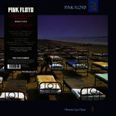 Pink Floyd — A Momentary Lapse Of Reason (Remastered)(Gatefold Cover) 앨범 커버