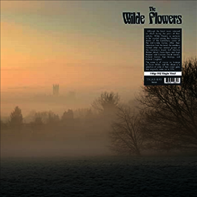 Wilde Flowers — Wilde Flowers (Remastered) 앨범 커버