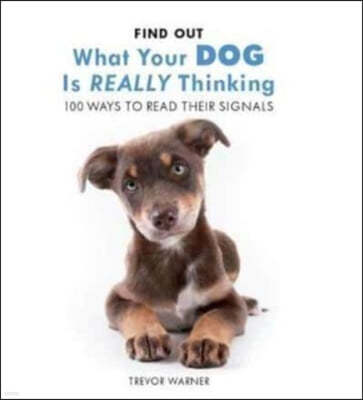 Find Out What Your Dog is Really Thinking