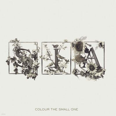 Sia — 3집 Colour The Small One 앨범 커버