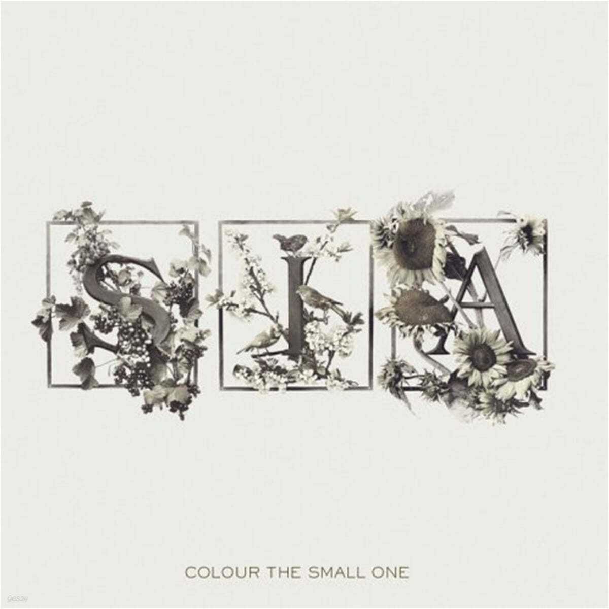 Sia (시아) - 3집 Colour The Small One [LP] 