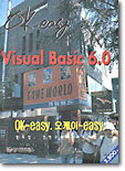 Visual Basic 6.0