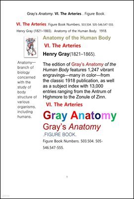 ׷̾Ƴ غ 6    ׸å.Grays Anatomy. VI. The Arteries . Figure Book.by Henry Gray.