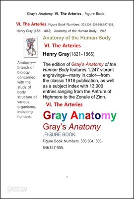 그레이아나토미 해부학의 제6권 동맥 의 도해 그림책.Gray’s Anatomy. VI. The Arteries . Figure Book.by Henry Gray.