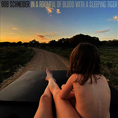 Bob Schneider — In A Roomful Of Blood With A Sleeping Tiger 앨범 커버