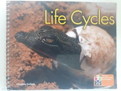 Pyp L6 Life Cycles Single