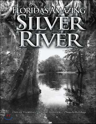 Florida's Amazing Silver River: One of Florida's Natural Wonders