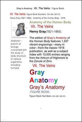 ׷̾Ƴ غ 7    ׸å.Grays Anatomy . VII. The Veins . Figure Book.by Henry Gray