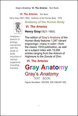 ׷̾Ƴ غ 6  å.Grays Anatomy. VI. The Arteries . Text Book.by Henry Gray.