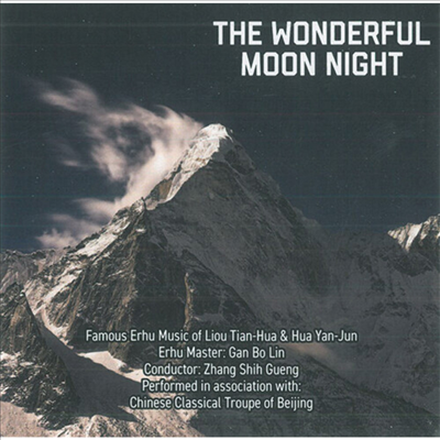 Various Artists - Wonderful Moon Night (CD)