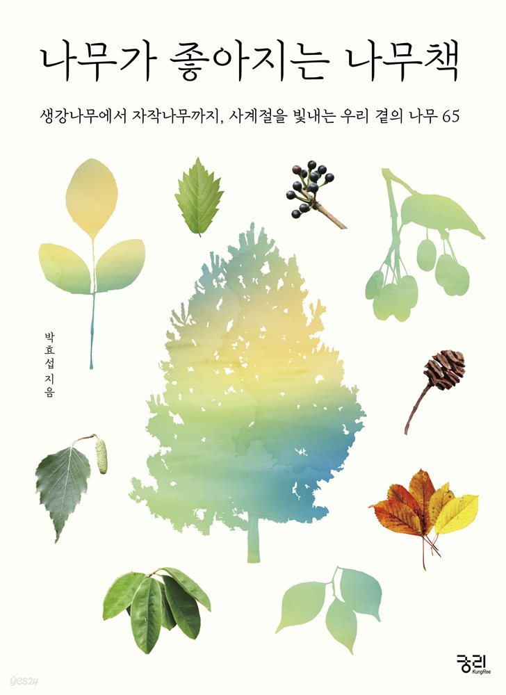 나무가 좋아지는 나무책