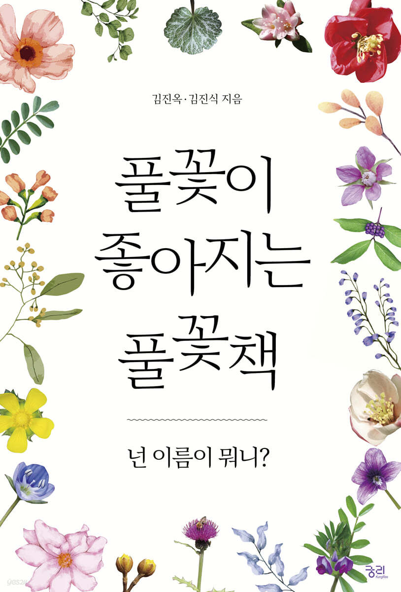 풀꽃이 좋아지는 풀꽃책