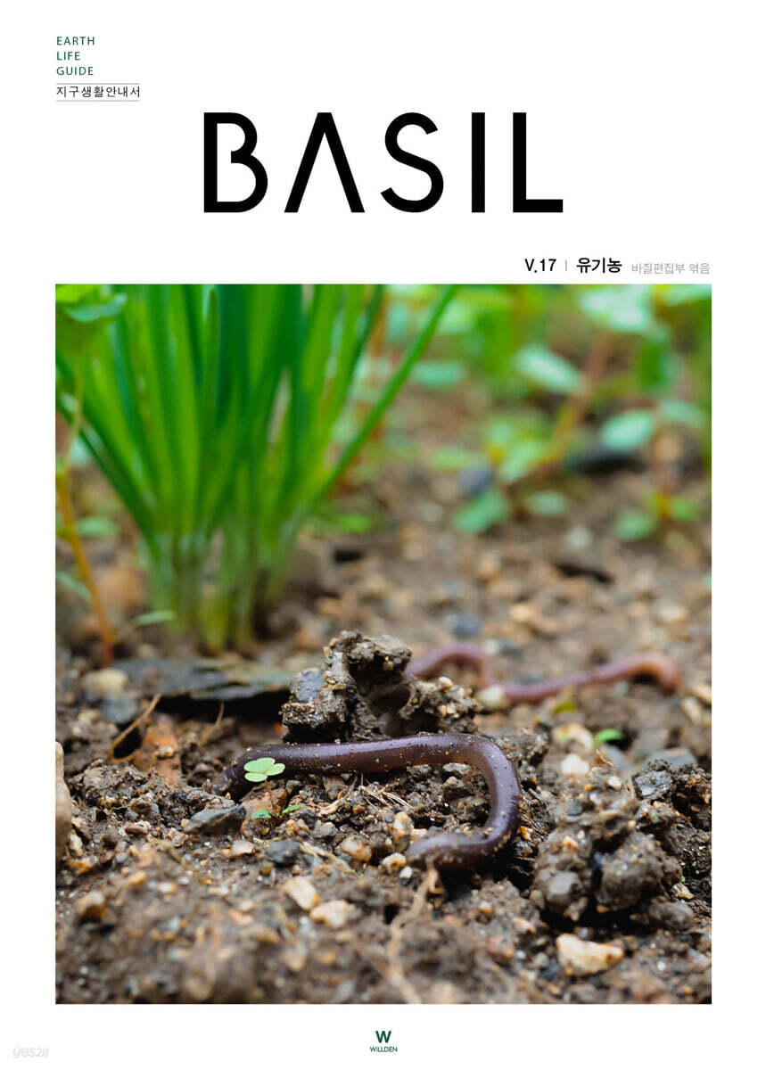 바질 Basil : V.17 유기농 [2021]