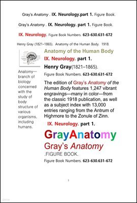 ׷̾Ƴ غ 9 1 Űغ,Ű.  ׸å.Grays Anatomy . IX. Neurology.part 1. Figure Book.