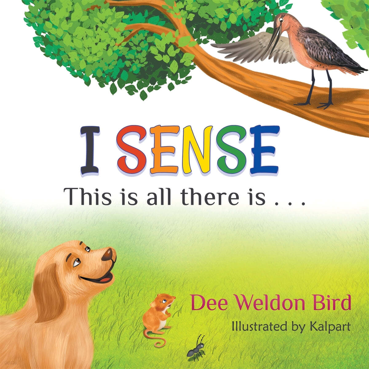 I Sense: This is all there is . . .