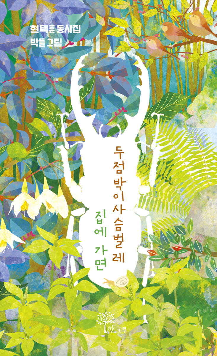 두점박이사슴벌레 집에 가면