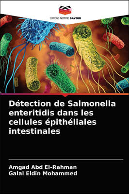 Detection de Salmonella enteritidis dans les cellules epitheliales intestinales