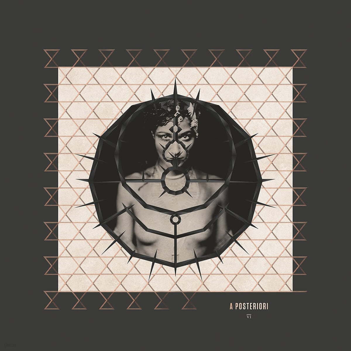 Enigma (이니그마) - A Posteriori [LP] 