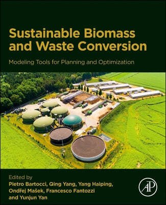 Modeling Tools for Planning Sustainable Biomass and Waste Conversion Into Energy and Chemicals: Optimization of Technical, Economic, Environmental and