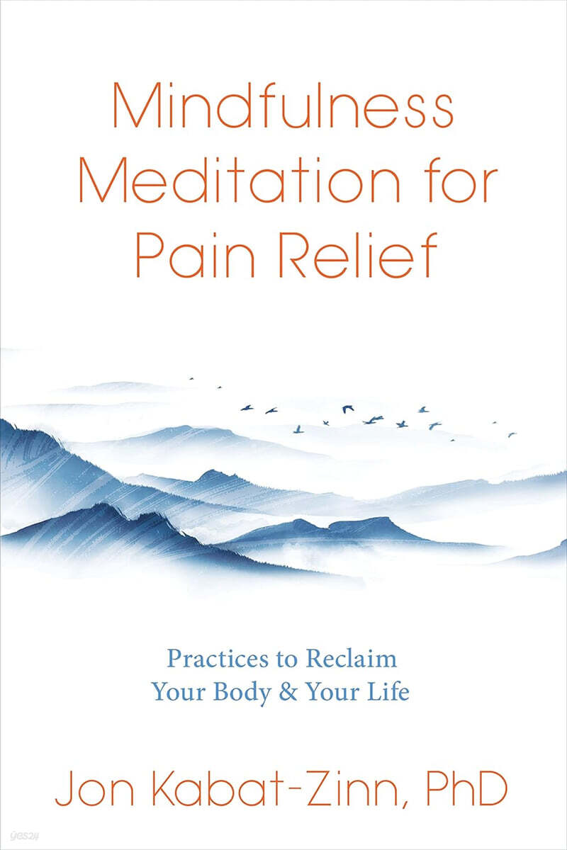 Mindfulness Meditation for Pain Relief: Practices to Reclaim Your Body and Your Life