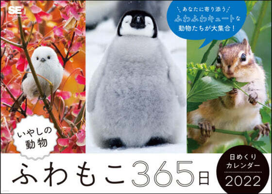 ’22 ふわもこ 日めくりカレンダ-