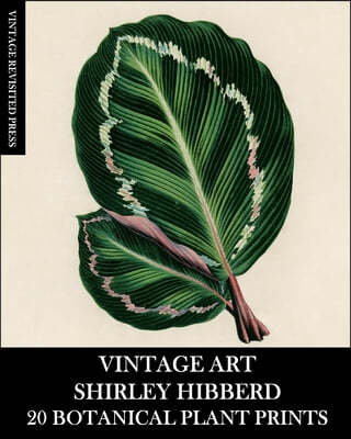 Vintage Art: Shirley Hibberd 20 Botanical Plant Prints