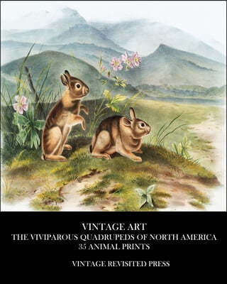 Vintage Art: The Viviparous Quadrupeds of North America 35 Animal Prints