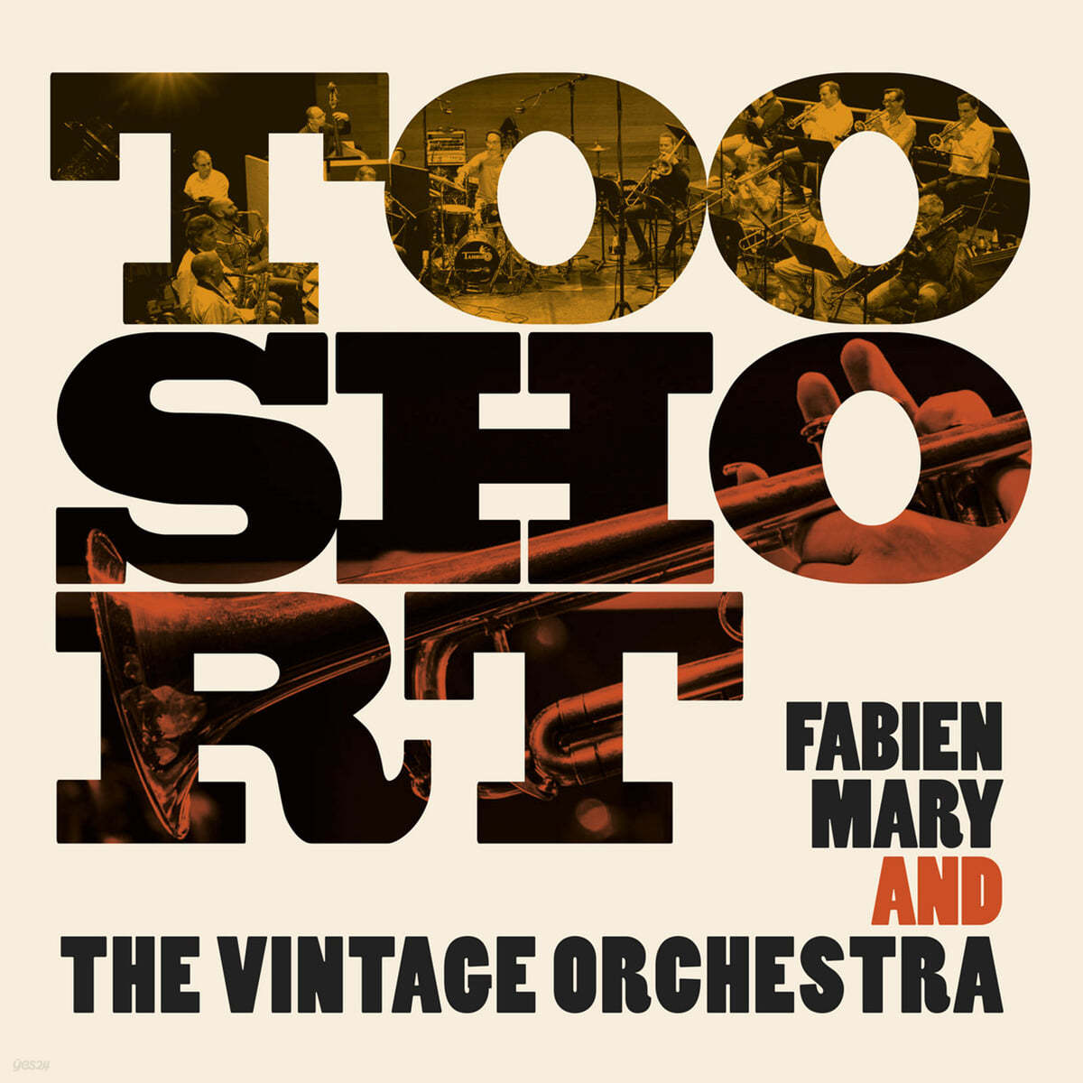 Fabien Mary / The Vintage Orchestra (파비엔 메리 / 빈티지 오케스트라) - Too Short
