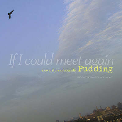 푸딩 (Pudding) - If I Could Meet Again