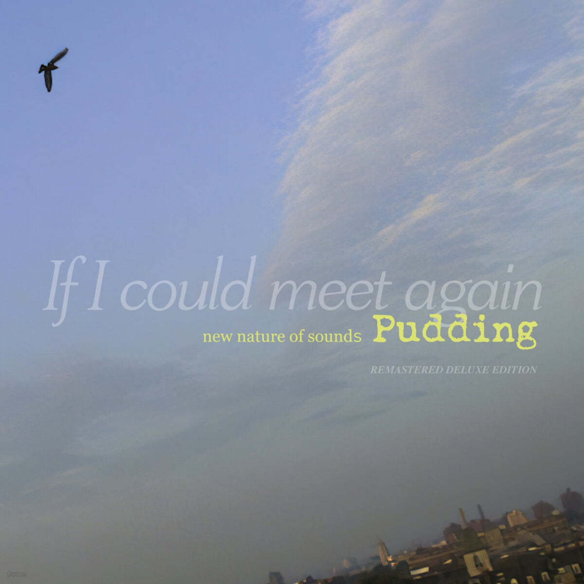 푸딩 (Pudding) - If I Could Meet Again