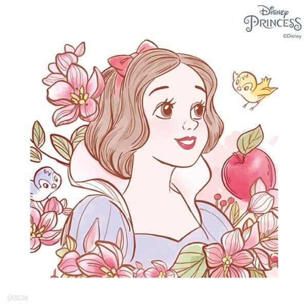 디즈니 프린세스 그림그리기 DIY 세트 백설공주 20X20