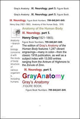 ׷̾Ƴ غ 9 5 Űغ,Ű.  ׸å.Grays Anatomy . IX. Neurology. part 5. Figure Book ,by Henry Gray