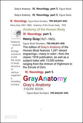 그레이아나토미 해부학의 제9권 5부 신경해부학,신경학. 도해 그림책.Gray’s Anatomy . IX. Neurology. part 5. Figure Book ,by Henry Gray 