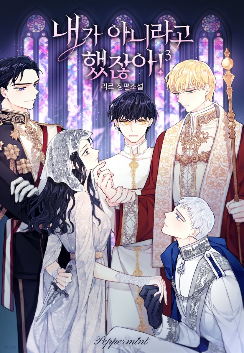 내가 아니라고 했잖아! 3권